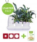 Starter Pack Minigarden Ensaladas y Aromáticas